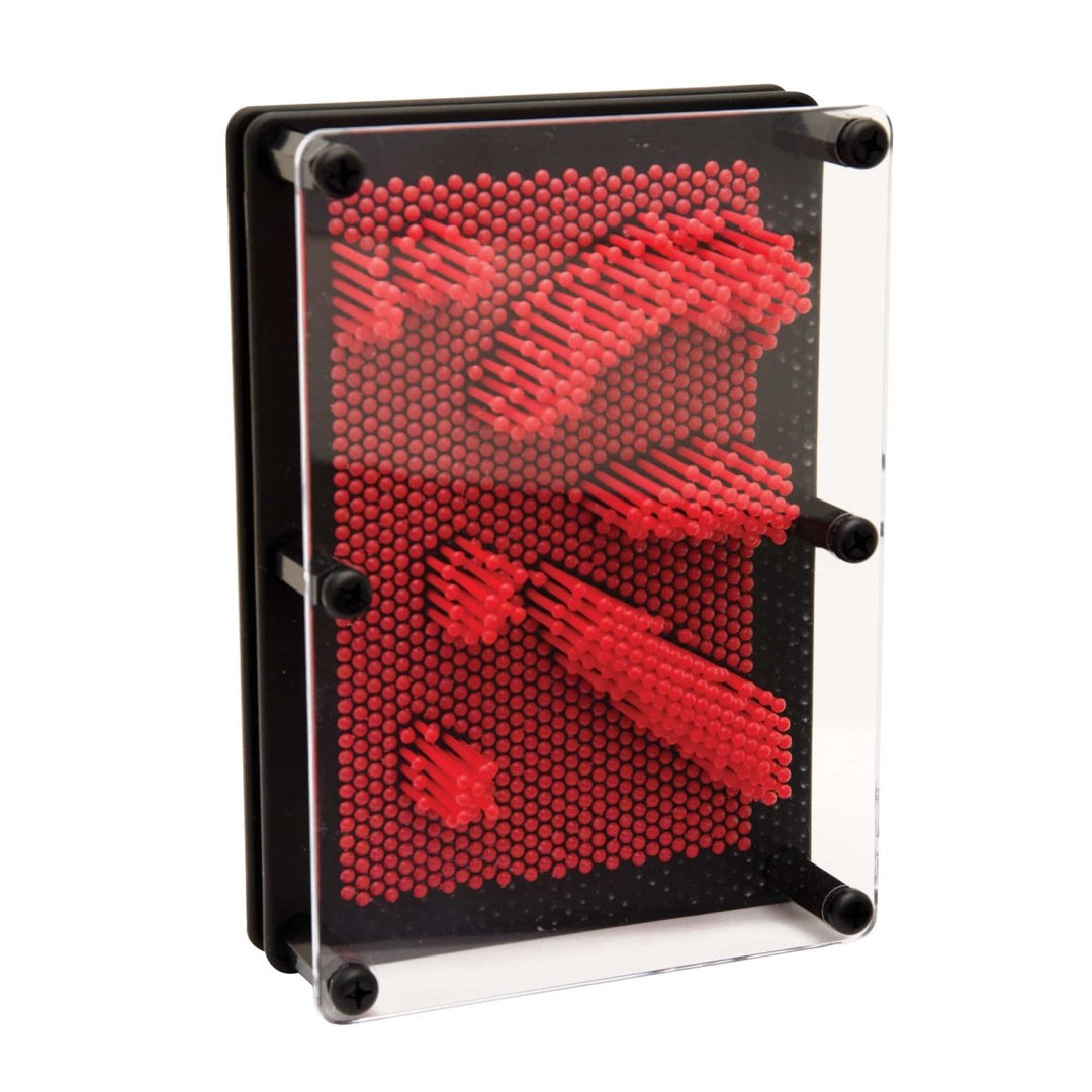 Large Pin Prints (Assortment)-Science & STEM-Tools 4 Teaching-Classroom Decor and More