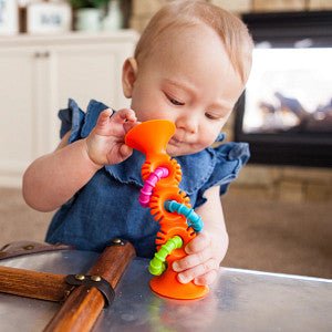 PipSquigz Loops - Orange-Baby & Toddler-Tools 4 Teaching-Classroom Decor and More