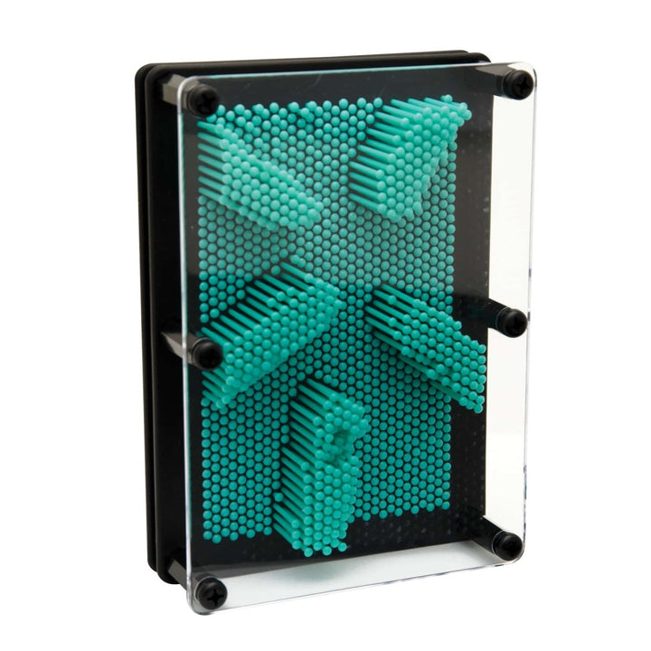 Large Pin Prints (Assortment)-Science & STEM-Tools 4 Teaching-Classroom Decor and More