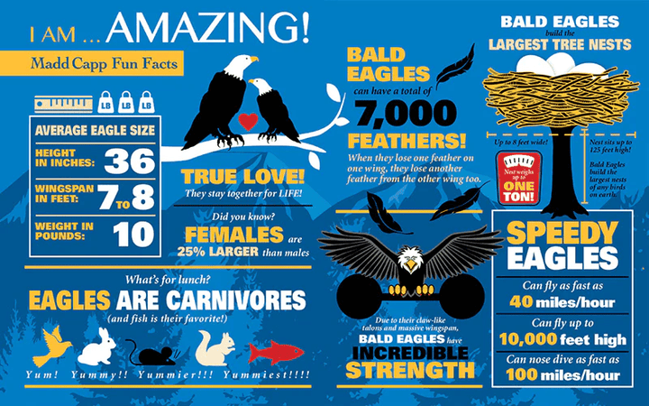 *I AM EAGLE 550 pcs Puzzle-Puzzles-Tools 4 Teaching-Classroom Decor and More