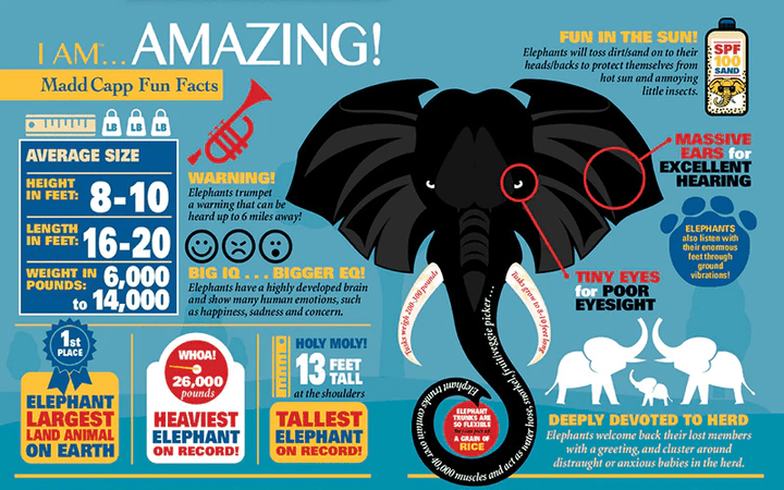 I AM ELEPHANT 300 pcs Puzzle-Puzzles-Tools 4 Teaching-Classroom Decor and More