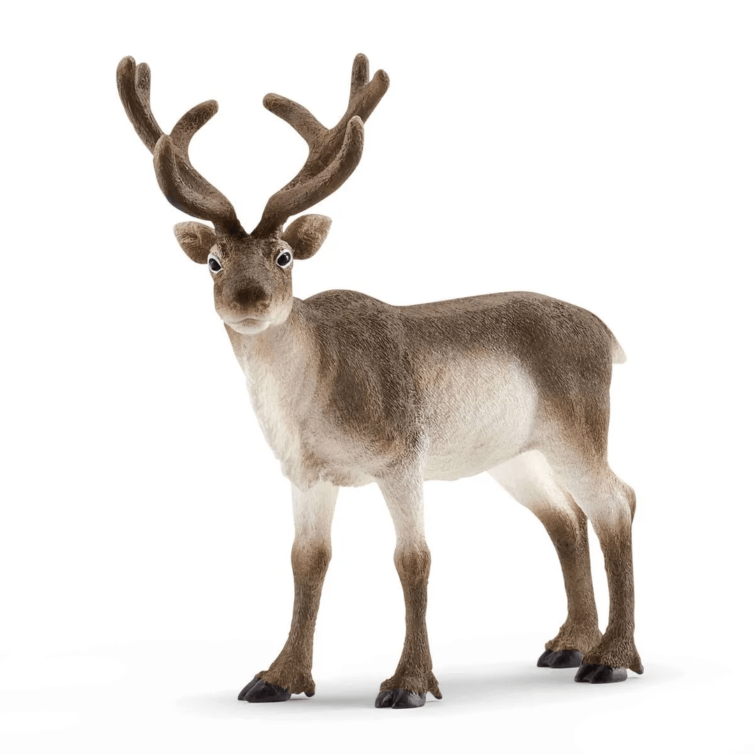 Reindeer-Schleich USA-Tools 4 Teaching-Classroom Decor and More