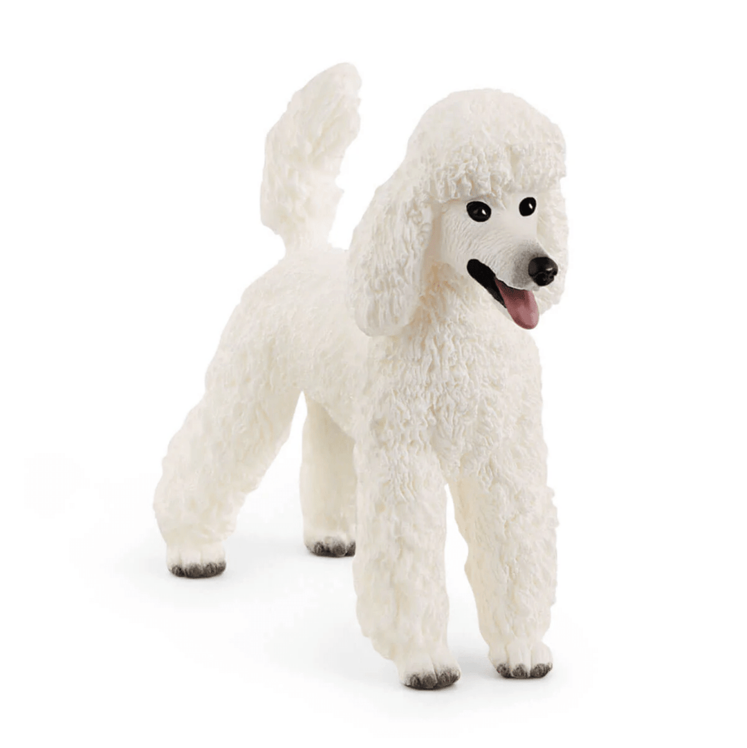 *Poodle-Schleich USA-Tools 4 Teaching-Classroom Decor and More