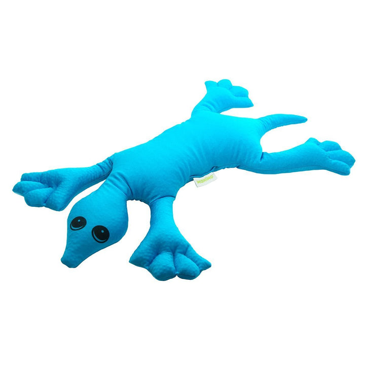 *Weighted Turtle - 1kg-Sensory Play-Tools 4 Teaching-Classroom Decor and More