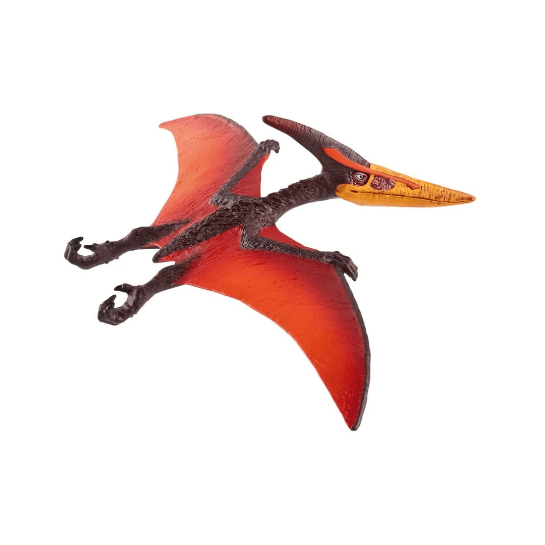 Pteranodon-Schleich USA-Tools 4 Teaching-Classroom Decor and More