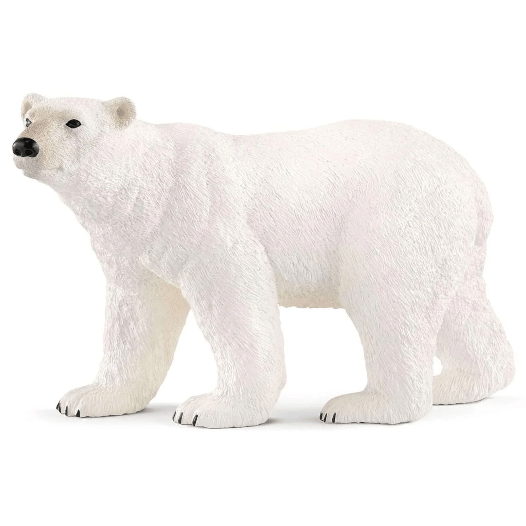 Polar bear-Schleich USA-Tools 4 Teaching-Classroom Decor and More