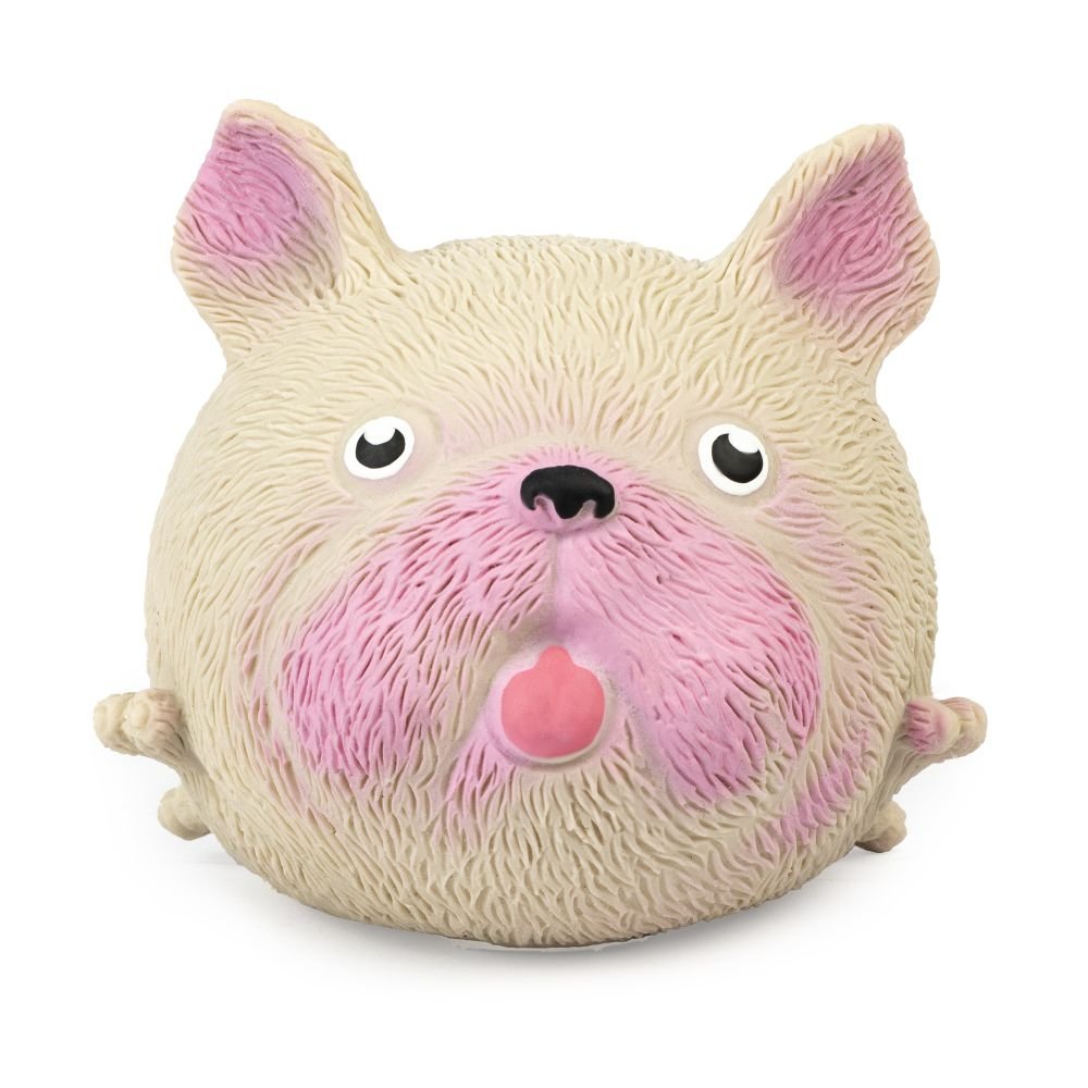 Squidgy Pooch - Assorted-Fidgets-Tools 4 Teaching-Classroom Decor and More