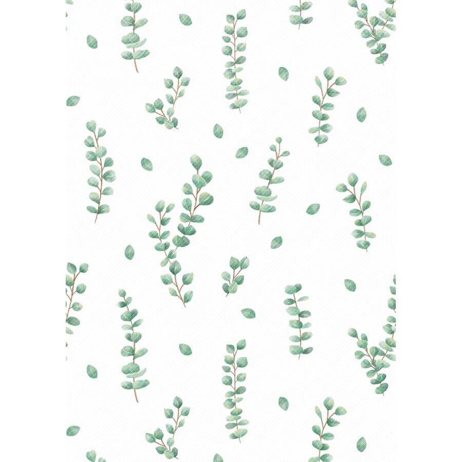 Better Than Paper® Bulletin Board Roll: Eucalyptus-Bulletin Board Paper - Better Than Paper-Tools 4 Teaching-Classroom Decor and More