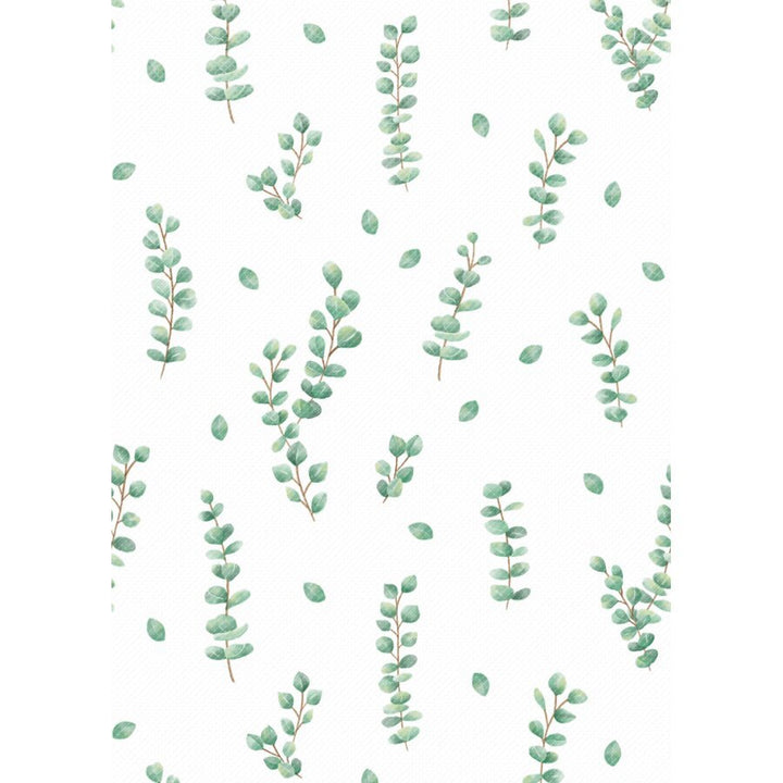 Better Than Paper® Bulletin Board Roll: Eucalyptus-Bulletin Board Paper - Better Than Paper-Tools 4 Teaching-Classroom Decor and More