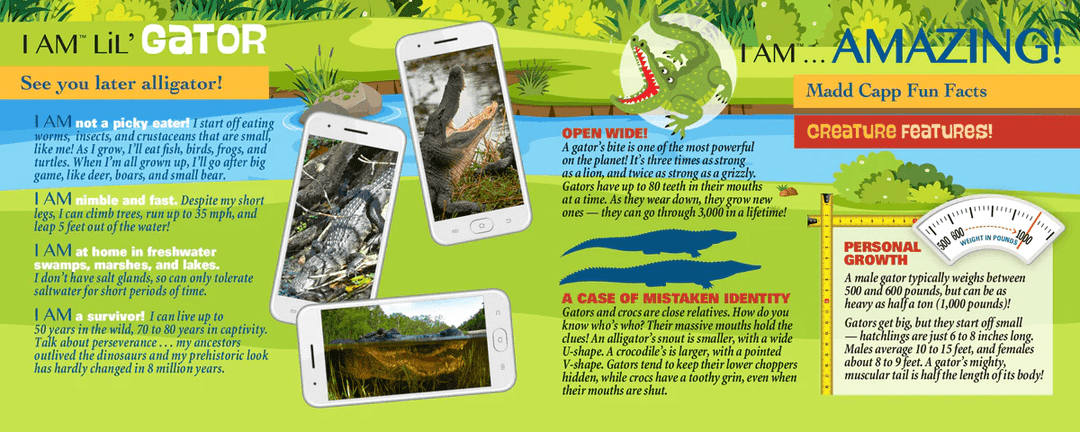 *I AM LiL' GATOR 100 pcs Puzzle-Puzzles-Tools 4 Teaching-Classroom Decor and More