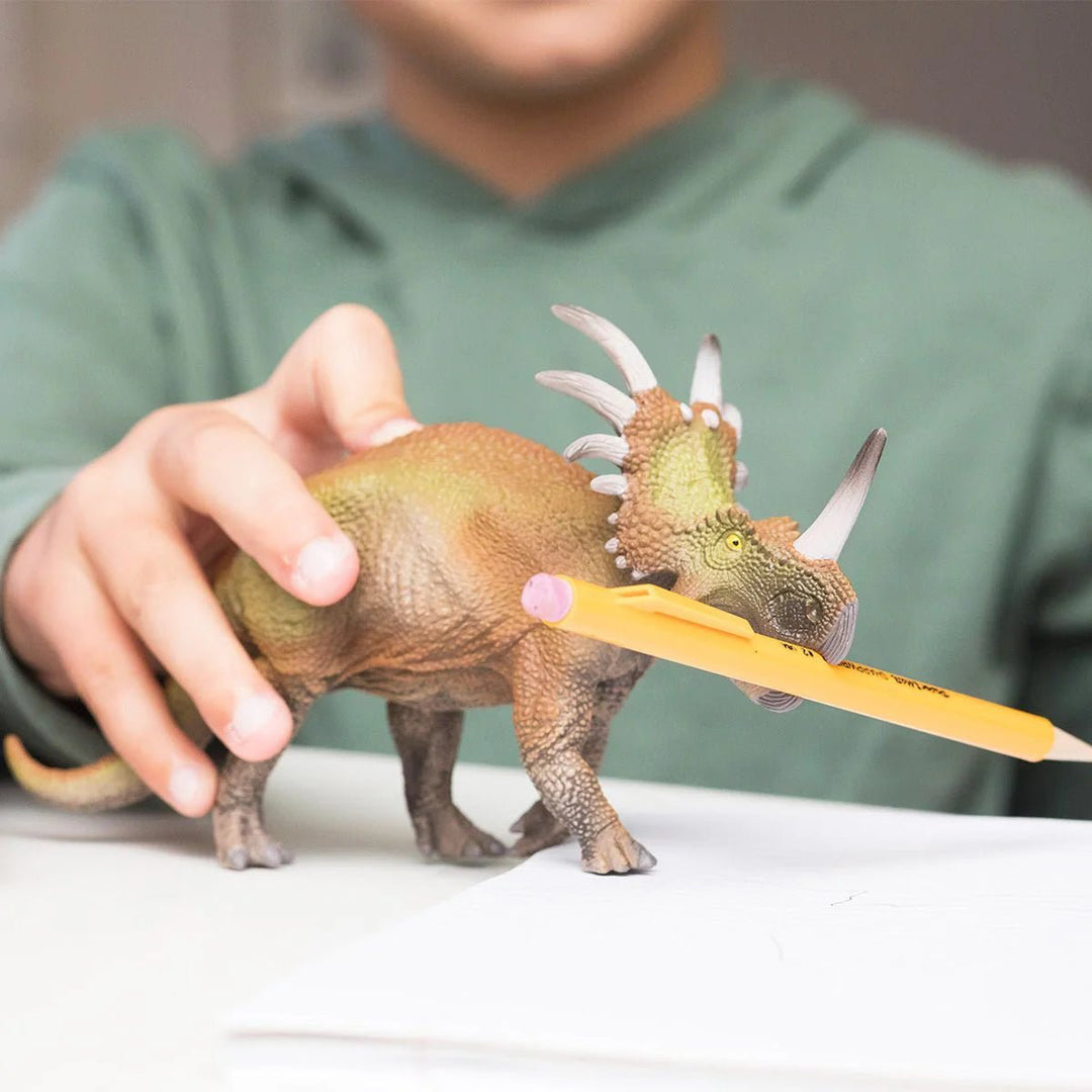 Triceratops - Tools 4 Teaching