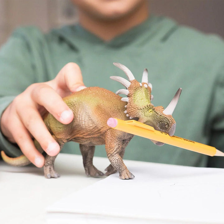 Triceratops - Tools 4 Teaching