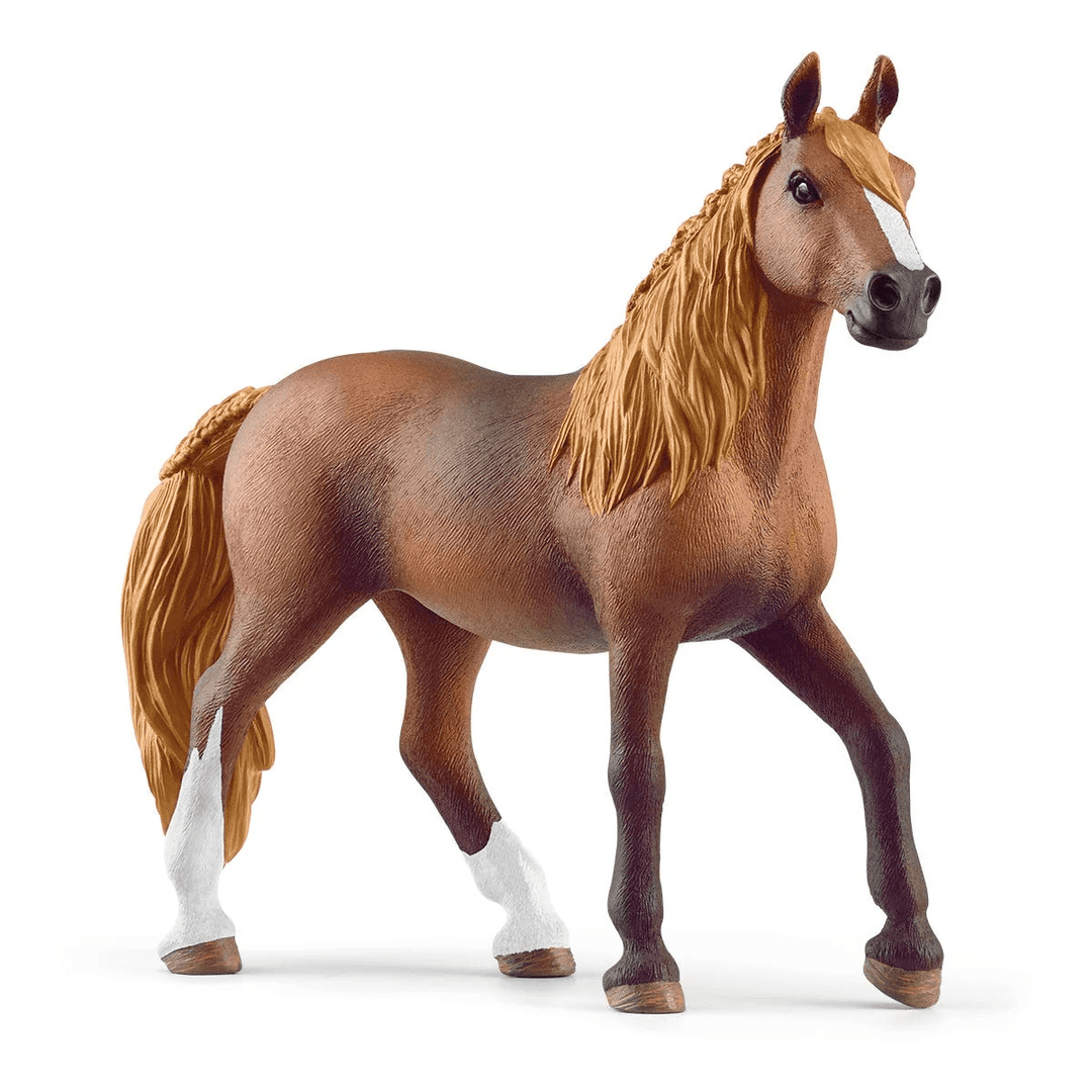 Peruvian Paso Mare-Schleich USA-Tools 4 Teaching-Classroom Decor and More