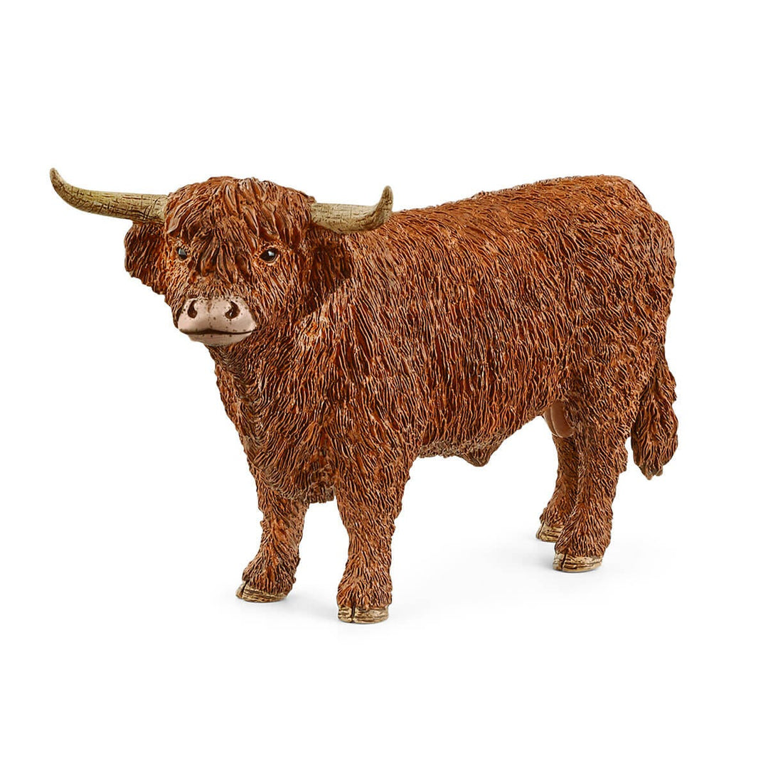 Highland Bull-Schleich USA-Tools 4 Teaching-Classroom Decor and More