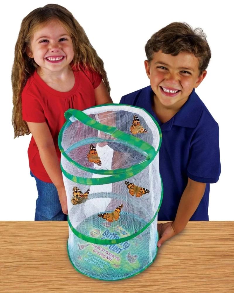 Giant Butterfly Garden® With Voucher-Science & STEM-Tools 4 Teaching-Classroom Decor and More