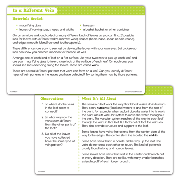 Up-Close Science: Magnifying Glasses & Tweezers Activity Set-Science & STEM-Tools 4 Teaching-Classroom Decor and More