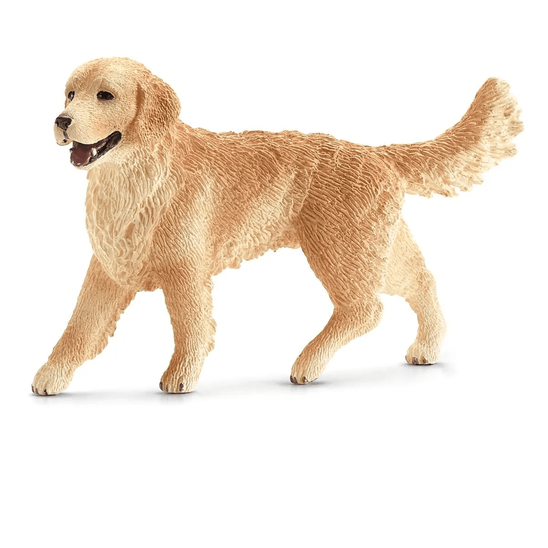 Golden Retriever, female-Schleich USA-Tools 4 Teaching-Classroom Decor and More