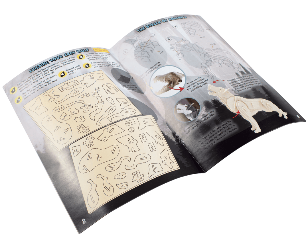 *Extreme Crocodiles of the World-Science & STEM-Tools 4 Teaching-Classroom Decor and More