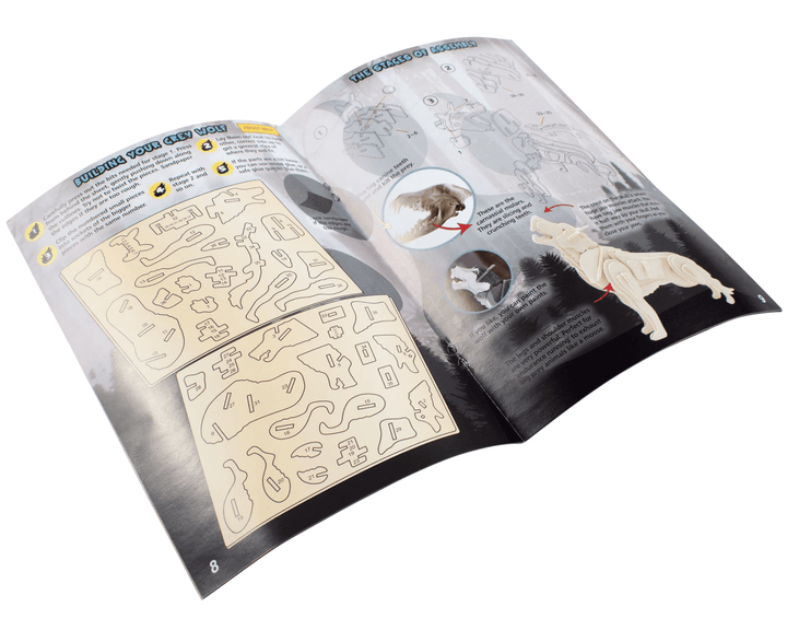 *Extreme Crocodiles of the World-Science & STEM-Tools 4 Teaching-Classroom Decor and More