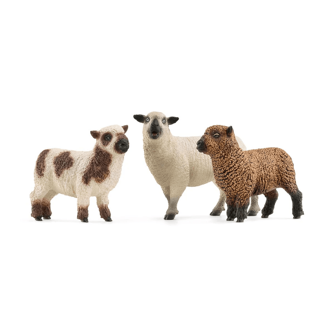 Sheep Friends-Schleich USA-Tools 4 Teaching-Classroom Decor and More
