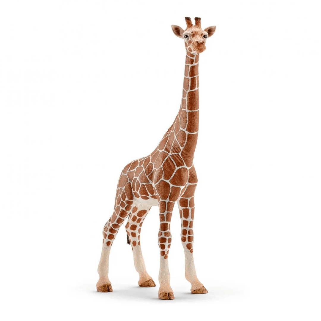 Giraffe, female-Schleich USA-Tools 4 Teaching-Classroom Decor and More
