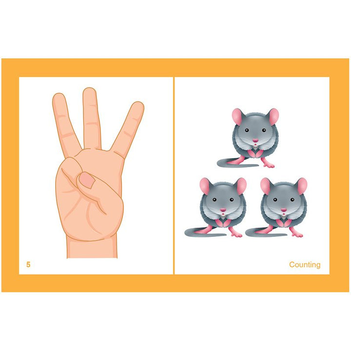 Same but Different Cards, Gr K-2-Addition & Subtraction-Tools 4 Teaching-Classroom Decor and More