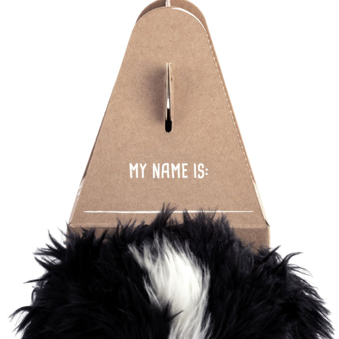 Pop-Up Carrier-Baby & Toddler-Tools 4 Teaching-Classroom Decor and More