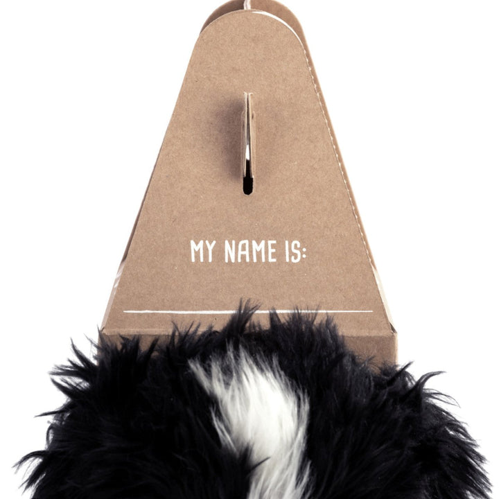 Pop-Up Carrier-Baby & Toddler-Tools 4 Teaching-Classroom Decor and More