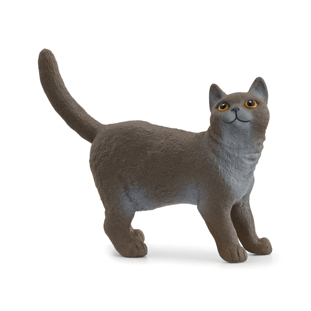 British Shorthair Cat-Schleich USA-Tools 4 Teaching-Classroom Decor and More