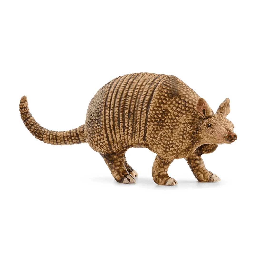 Armadillo-Schleich USA-Tools 4 Teaching-Classroom Decor and More