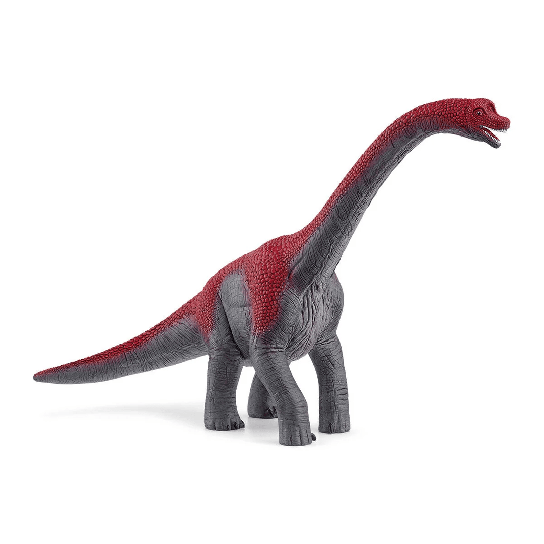 Brachiosaurus-Schleich USA-Tools 4 Teaching-Classroom Decor and More