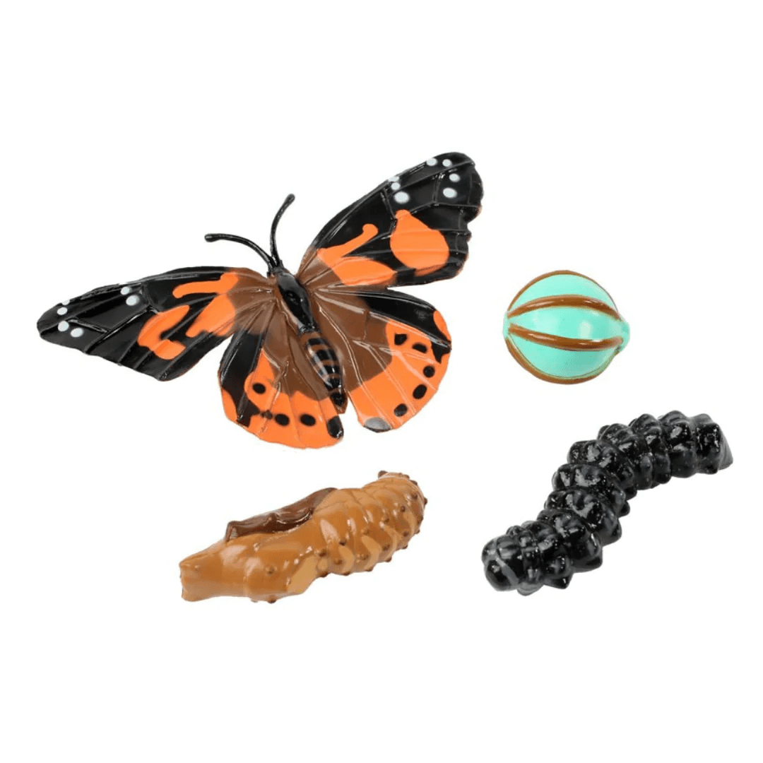 Butterfly Life Cycle Figurines-Science & STEM-Tools 4 Teaching-Classroom Decor and More