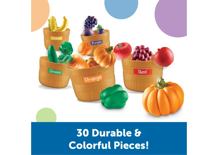 Farmer's Market Color Sorting Set-Numbers, Counting & Sorting-Tools 4 Teaching-Classroom Decor and More
