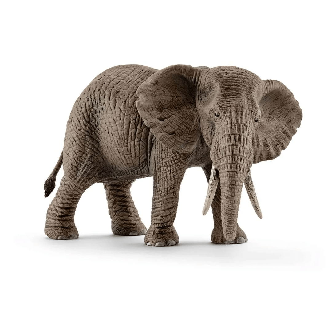 African elephant, female-Schleich USA-Tools 4 Teaching-Classroom Decor and More