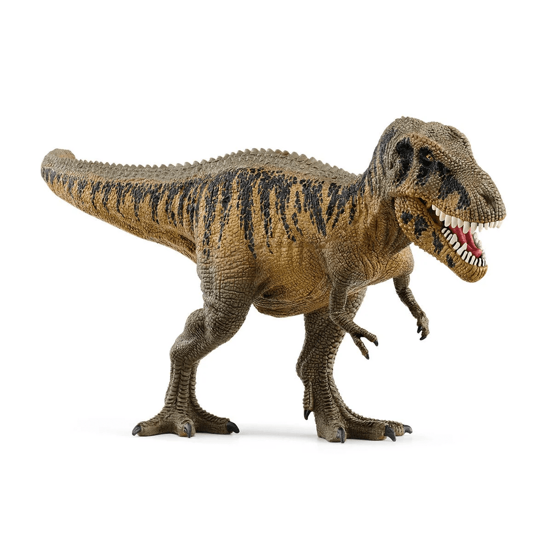 Tarbosaurus-Schleich USA-Tools 4 Teaching-Classroom Decor and More