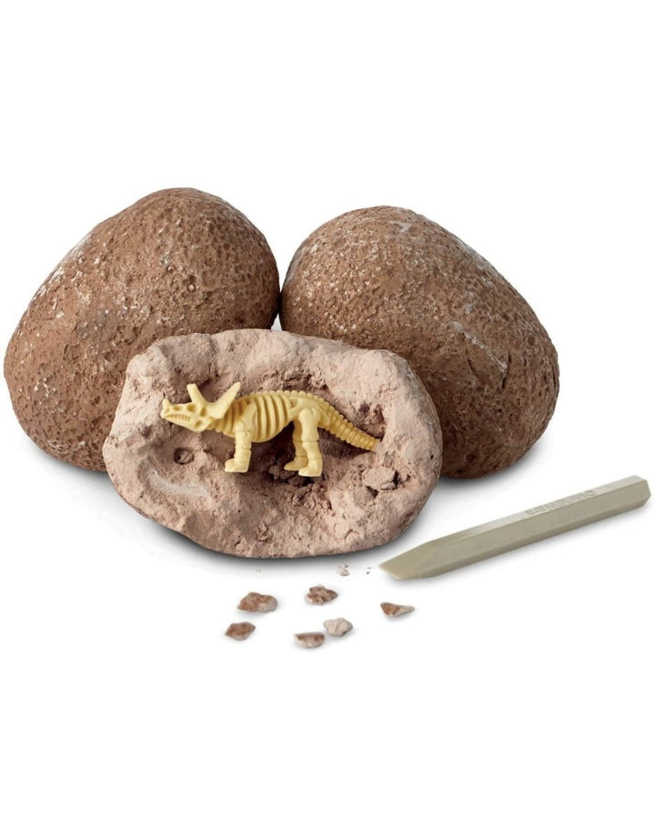 Dig It Up! Dinosaur Skeleton-Science & STEM-Tools 4 Teaching-Classroom Decor and More