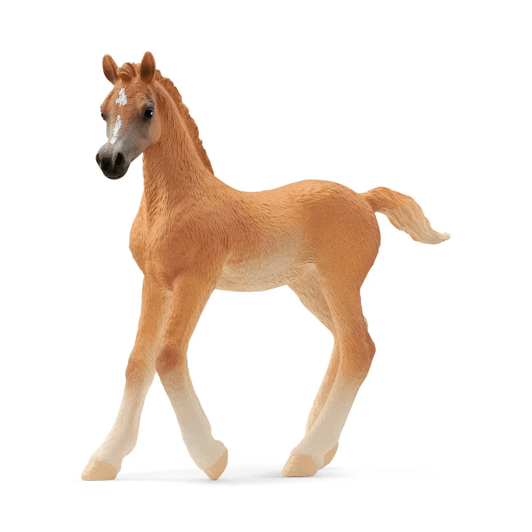 Arab Foal-Schleich USA-Tools 4 Teaching-Classroom Decor and More