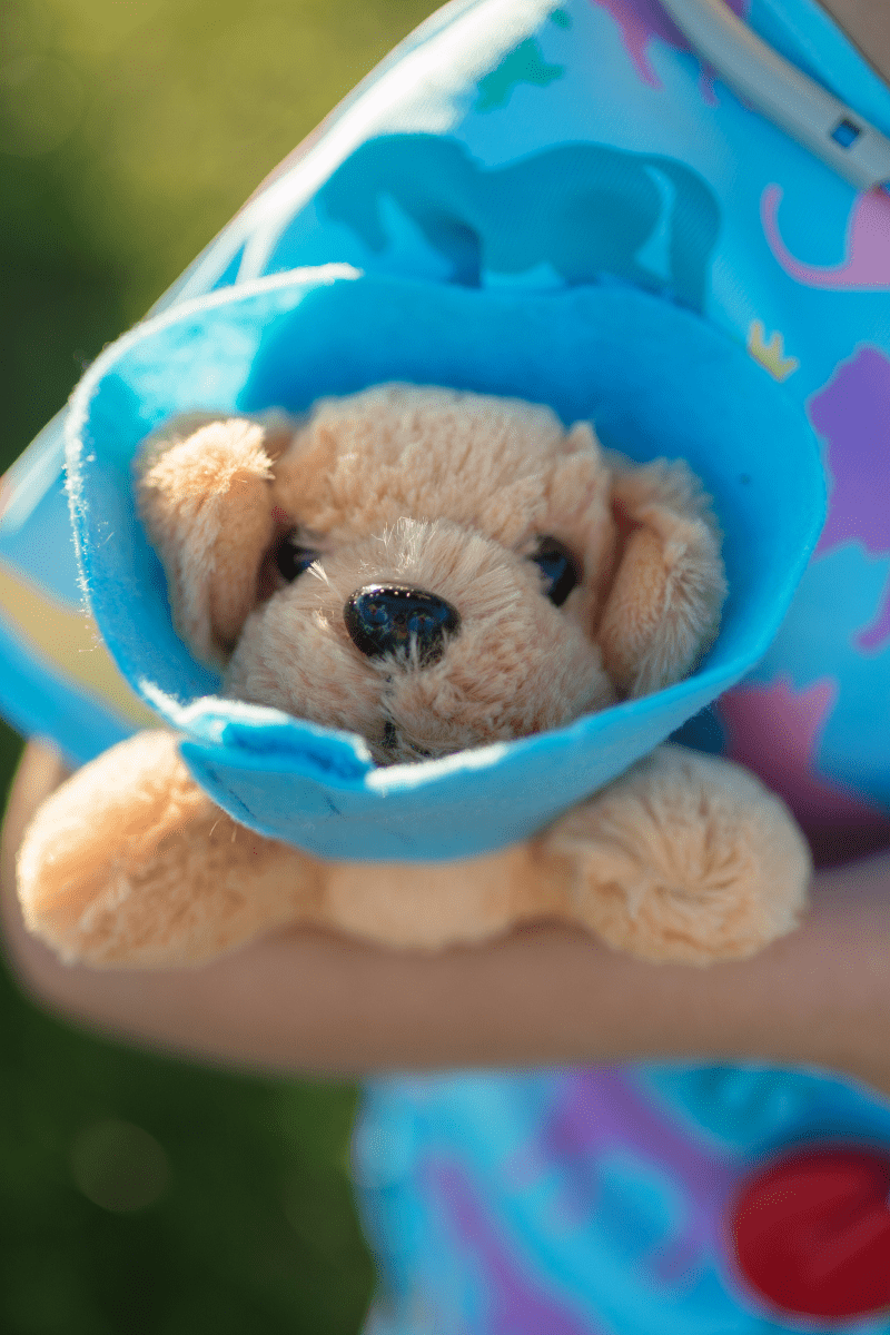 Veterinarian Scrubs With Accessories, Size 5-6-Dress Up & Jewelry-Tools 4 Teaching-Classroom Decor and More