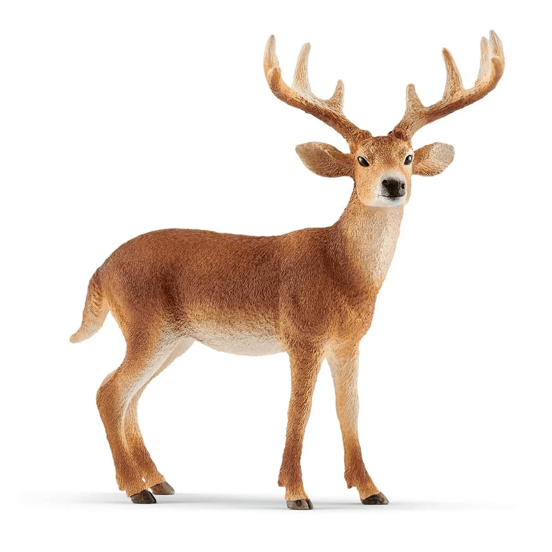 White-tailed buck-Schleich USA-Tools 4 Teaching-Classroom Decor and More