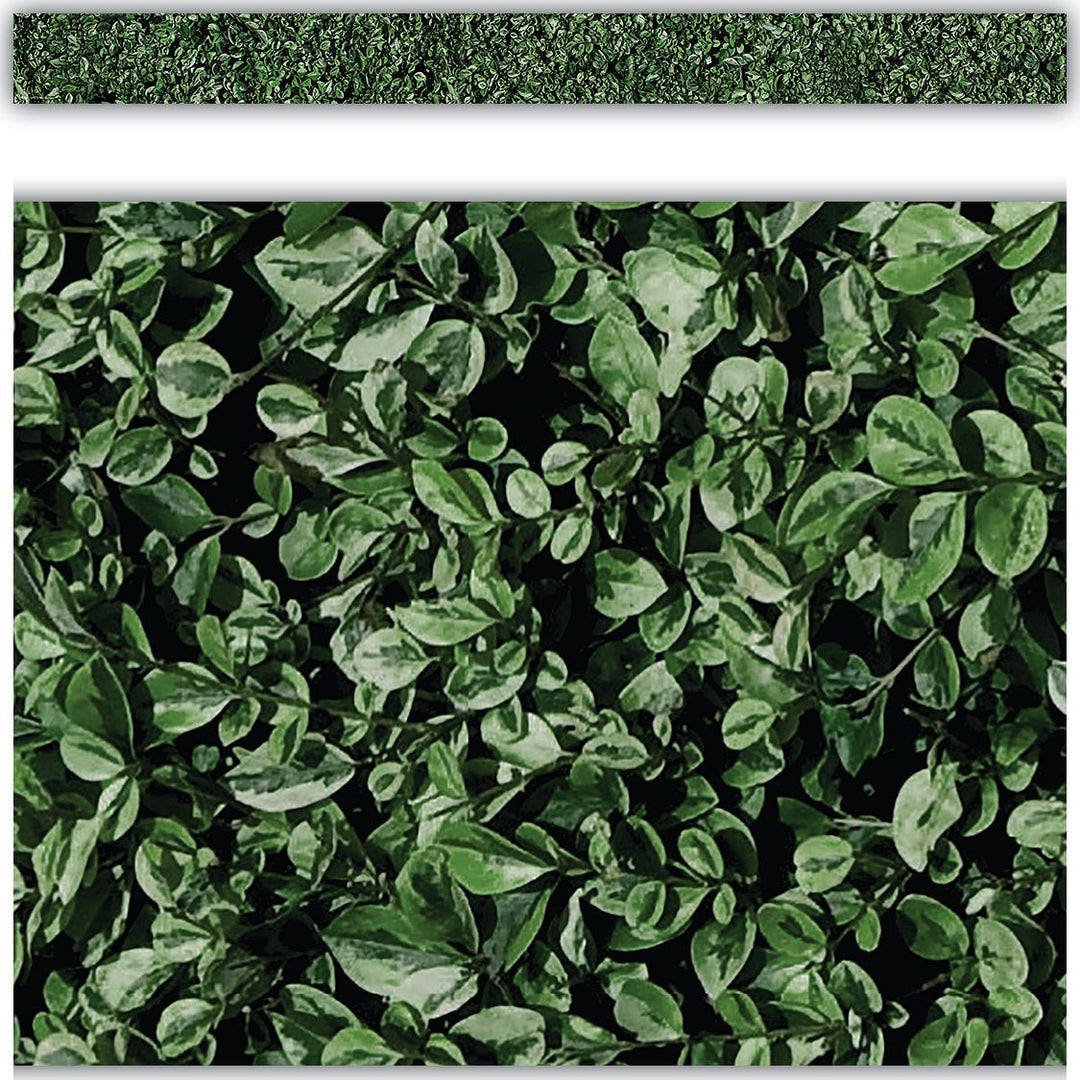 Modern Farmhouse Boxwood Straight Border Trim-Borders-Tools 4 Teaching-Classroom Decor and More