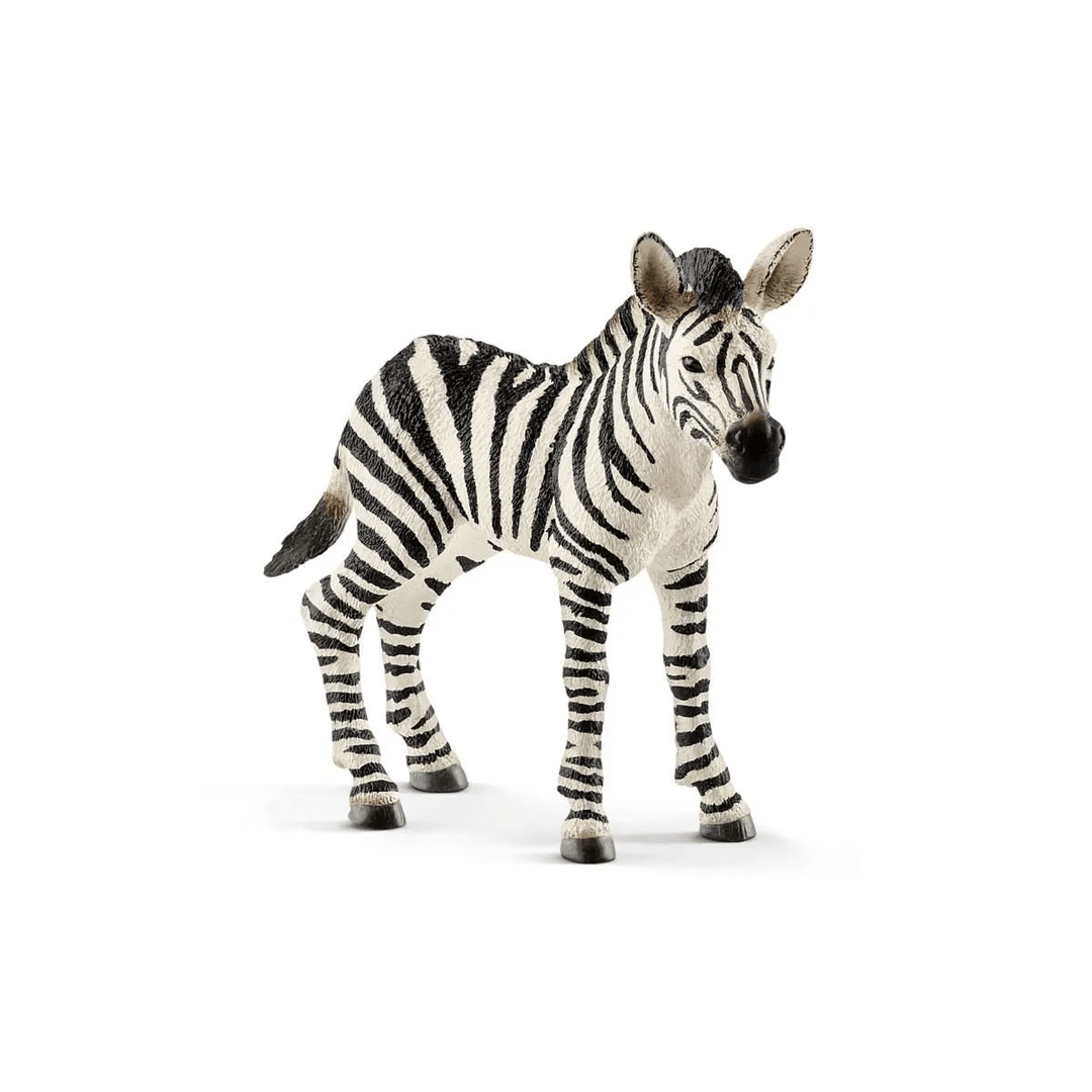 Zebra foal-Schleich USA-Tools 4 Teaching-Classroom Decor and More