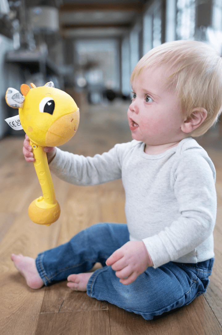 Lamaze Wacky Giraffe-Baby & Toddler-Tools 4 Teaching-Classroom Decor and More