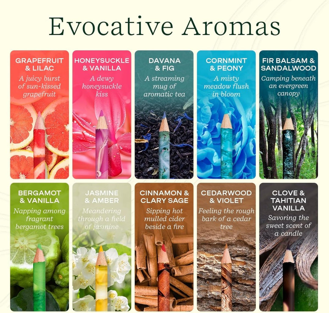 Lifelines™ Rub & Sniff™ Scented Colored Pencils (Earthy Palette)-Art Supplies-Tools 4 Teaching-Classroom Decor and More