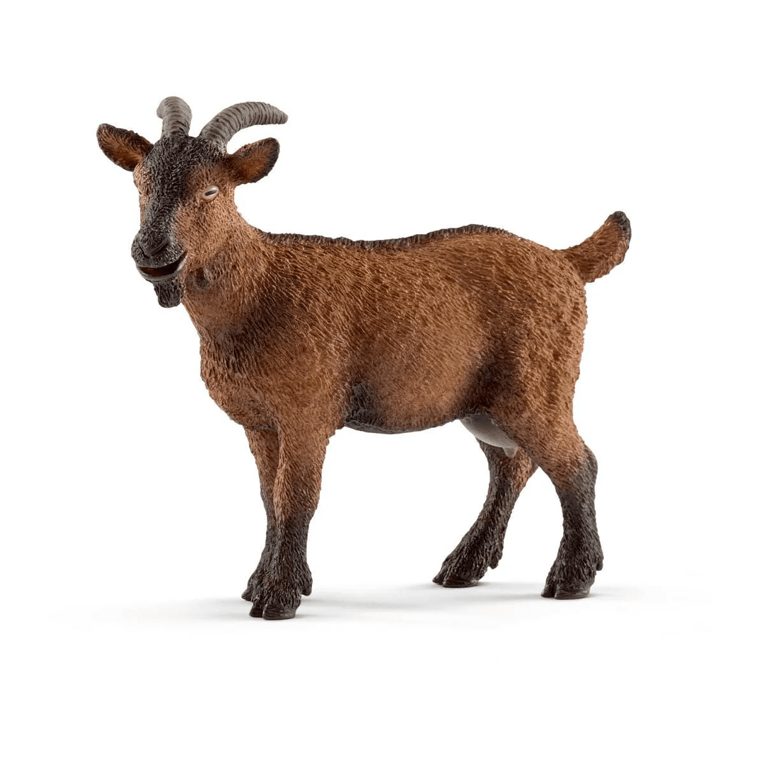 Goat-Schleich USA-Tools 4 Teaching-Classroom Decor and More