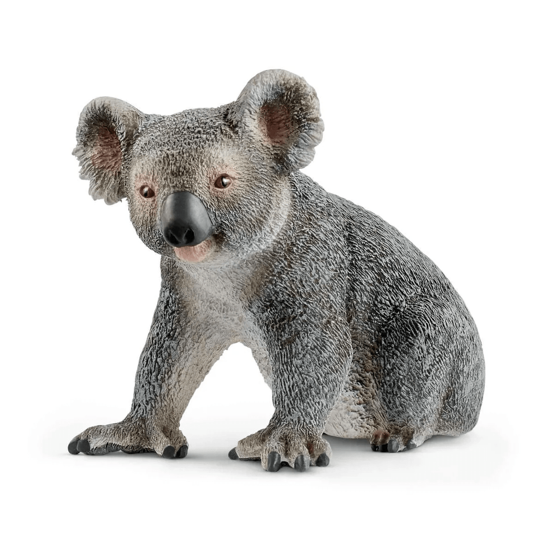 Koala-Schleich USA-Tools 4 Teaching-Classroom Decor and More