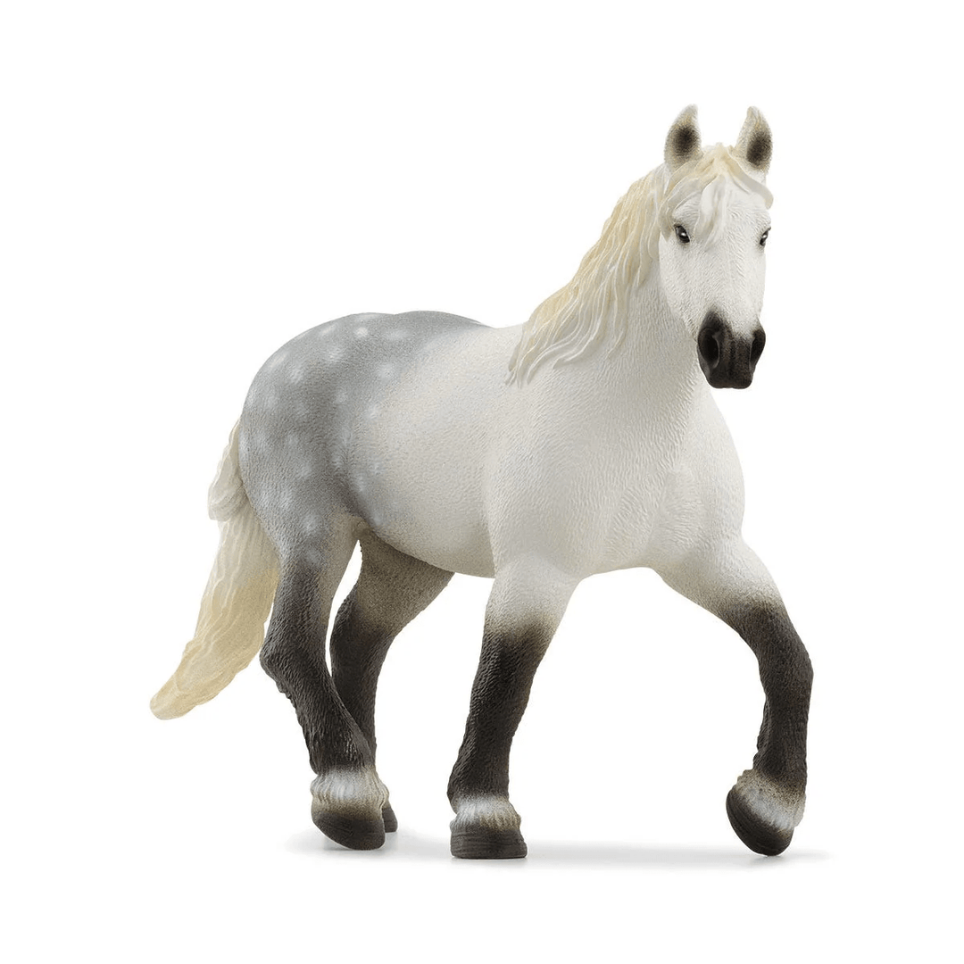 Percheron Mare-Schleich USA-Tools 4 Teaching-Classroom Decor and More