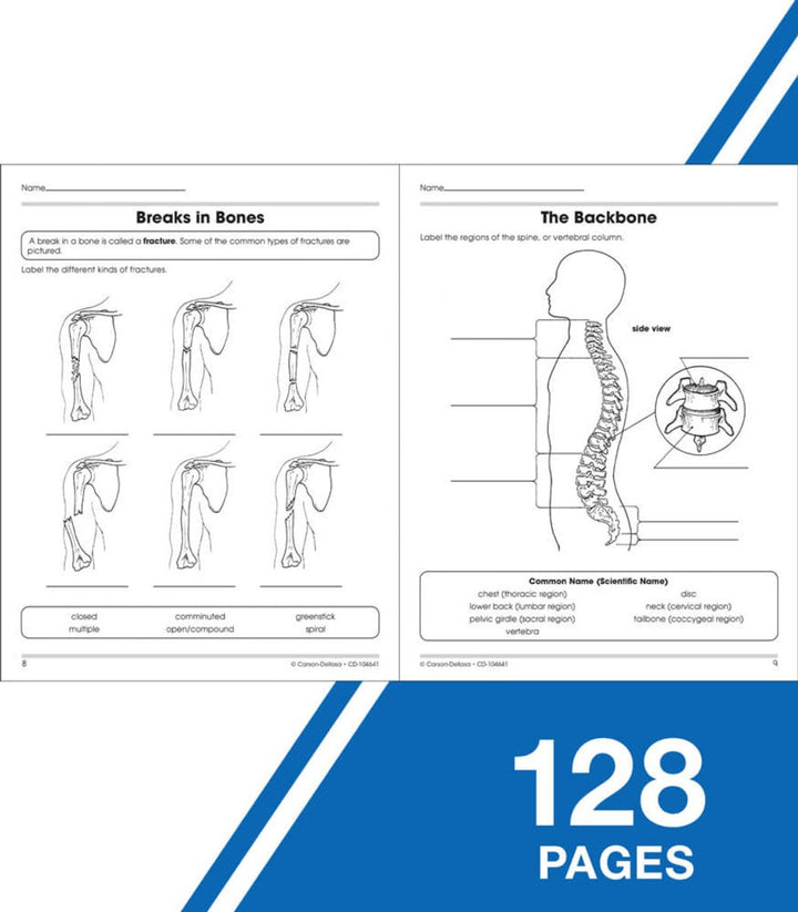 The 100+ Series™: Human Body Workbook Grade 5-8 (Paperback)-Science & STEM-Tools 4 Teaching-Classroom Decor and More