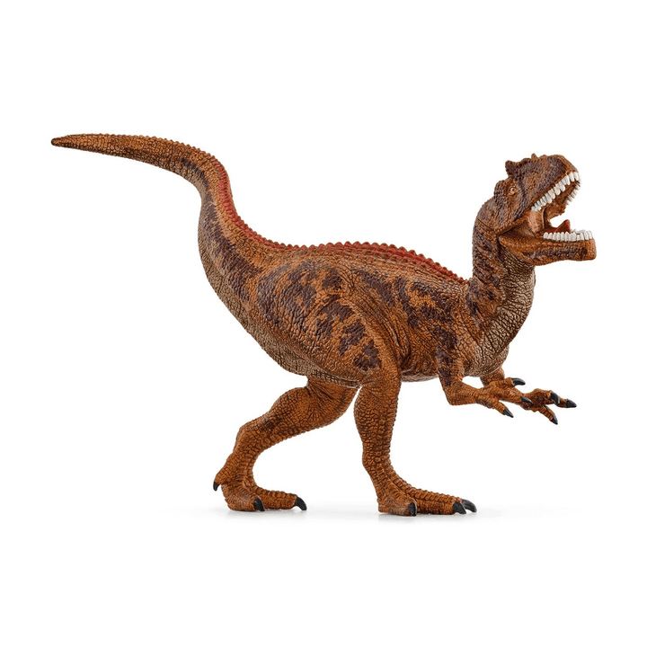 Allosaurus - Tools 4 Teaching