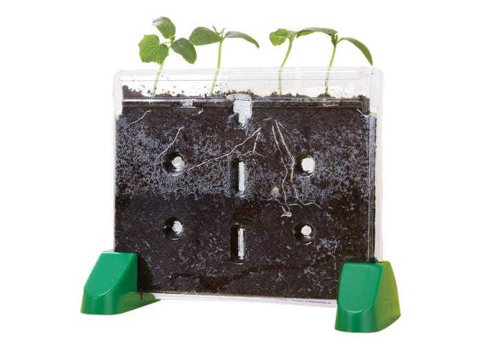 Sprout & Grow™ Window-Science & STEM-Tools 4 Teaching-Classroom Decor and More