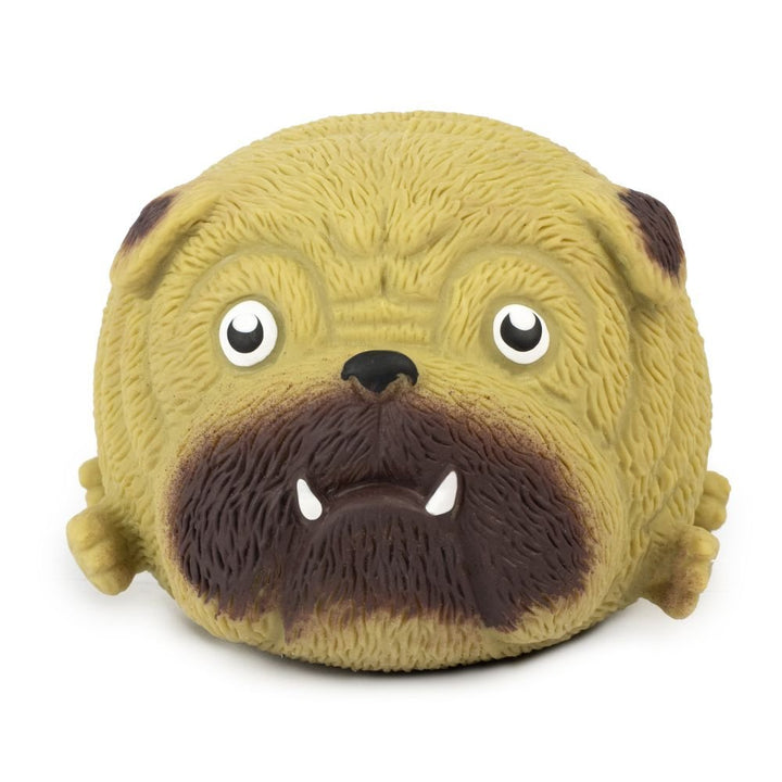 Squidgy Pooch - Assorted-Fidgets-Tools 4 Teaching-Classroom Decor and More